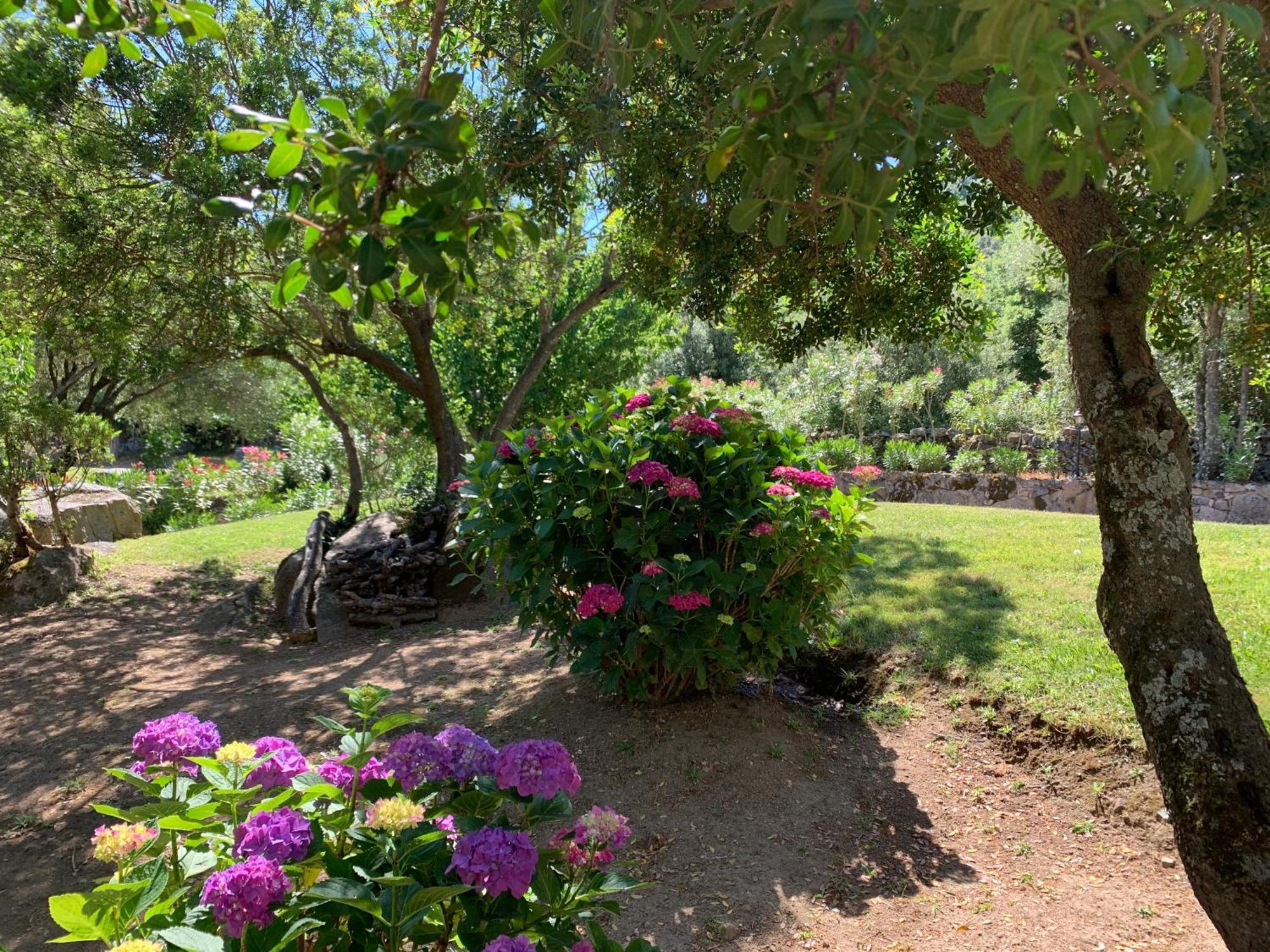 Hotel Valkarana Country Relais (Adults Only) Sant'Antonio di Gallura Dış mekan fotoğraf
